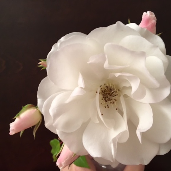 Meet your Posher, H - Picture 14 of 16